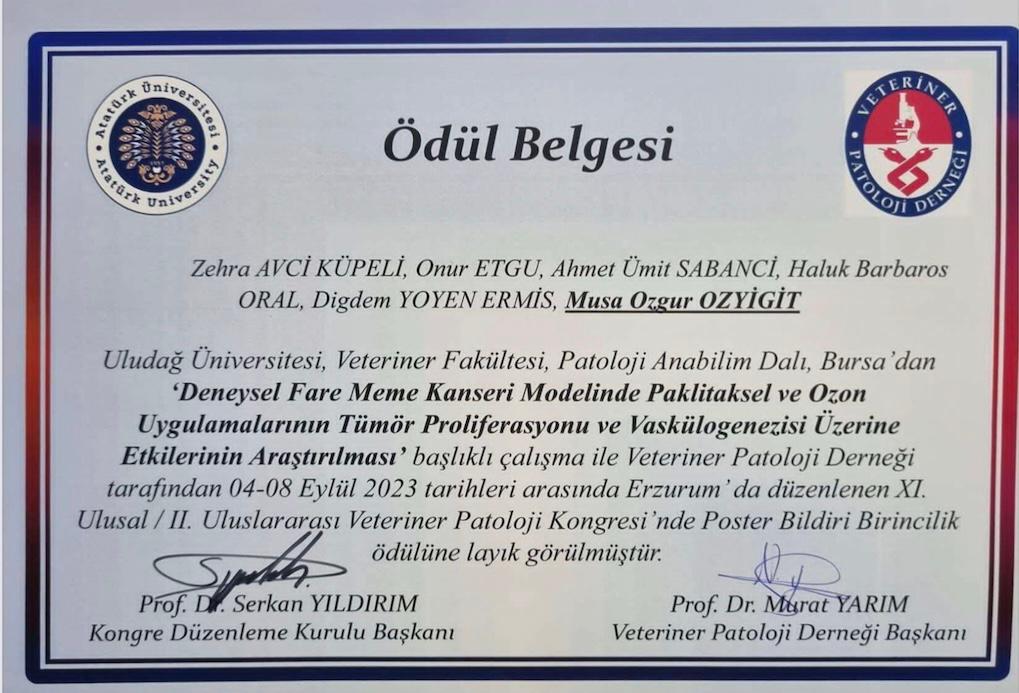 Poster Birincilik Ödülü